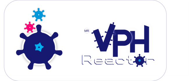 VPH Reactor